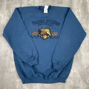 Vintage Pagosa Springs Colorado Sweatshirt Medium Blue Pullover Made In USA